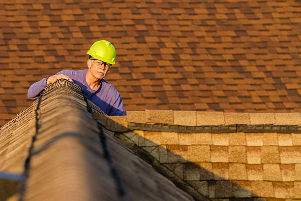 Best Roof Waterproofing Services  in Hanover, MN