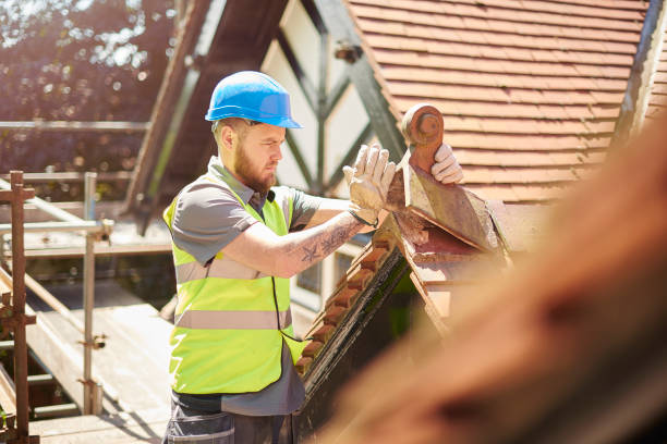 Best Metal Roofing Contractor  in Hanover, MN